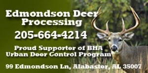 EdmondsonDeer