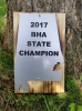 2017-BHA-State-Champion.jpg